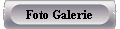 Foto Galerie
