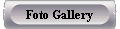 Foto Gallery